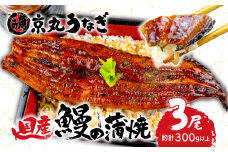 国産 うなぎ 蒲焼 たっぷり 3尾 約300g 小分け 鰻 ギフトボックス セット 老舗 専門店 うなぎ処京丸 静岡県 土用 丑の日 人気 コスパ 高級