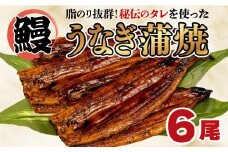 うなぎ 蒲焼き 鰻 6尾 中国産 約800g まるが水産 脂ノリ抜群 指定日可 土用 丑の日 人気 静岡県