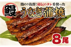 うなぎ 蒲焼き 8尾 約1kg  鰻 冷凍 中国産 まるが水産 脂ノリ抜群 静岡 指定日可 土用 丑の日 人気 静岡県