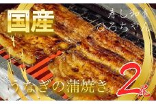 国産 うなぎ 鰻 蒲焼 計 2尾 1尾 約140～160g 冷蔵 小分け 寿し和食ひろちゃん 人気 静岡県 土用 丑の日