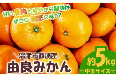 由良 みかん 約5kg 中玉 産地直送 柑橘 みかん 訳あり フルーツ 果物 蜜柑 オレンジ ご家庭用