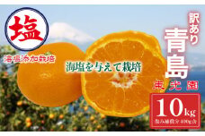 海塩を与えて栽培した 青島みかん 予約受付 12月下旬 順次発送 訳あり 青島 みかん 計 10kg  傷み補償分 400g 含む 蜜柑 柑橘 西浦 みかん オレンジ 果物 フルーツ 沼津市 静岡県