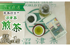 沼津茶 煎茶 100g 1袋 普通 緑茶 2025年産 農家直送 お茶 茶葉 静岡 沼津