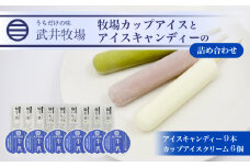 アイスクリーム カップアイス 6個 アイスキャンディー 3種 計9本 セット うちだけの味 武井牧場 自家製 アイス 牧場 牛乳 いちご お茶 キャンディー 食べ比べ ギフト 贈答 お取り寄せ スイーツ お菓子 デザート 静岡県 沼津市 母の日 父の日