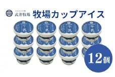 アイスクリーム カップアイス 12個 うちだけの味 武井牧場 自家製 アイス 牧場 牛乳 お土産 プレゼント ギフト 贈答 お取り寄せ スイーツ お菓子 デザート 静岡県 沼津市 母の日 父の日
