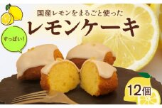 レモンケーキ 手作り 12個  檸檬 れもん ピール 菓子 無添加 低農薬 茶菓子 洋菓子 スイーツ マーマレード フルーツ 柑橘  贈答用 ギフト プレゼント 静岡県 沼津市 クリスマス 母の日 父の日