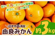 由良 みかん 3kg 産地直送 柑橘 みかん フルーツ 果物 蜜柑 オレンジ 