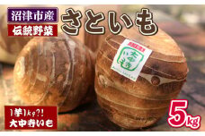 さといも 5kg 芋 里芋 大中寺芋 沼津特産 野菜 根菜 さといも 煮物 産地直送 国産 農家直送 数量限定 先行 予約 受付 事前予約 静岡県 沼津市