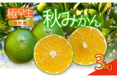 訳あり 極早生 秋 みかん 約3kg 蜜柑 早生 フルーツ 果物 国産 くだもの 産地直送 人気 お取り寄せ グルメ わけあり 常温 静岡県産みかん 静岡みかん オーガニック 西浦 沼津 静岡 自然農 ふるさと 納税 沼津みかん 美味しい 秋 西浦みかん 混合 静岡県産