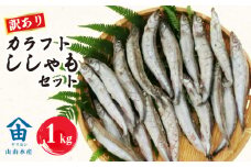 訳あり ししゃも 1kg カラフト 丸干し 干物 ひもの セット 冷凍 沼津 静岡 干物 訳アリ 美味しい コスパ ランキング 人気 冷凍 静岡県