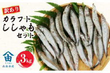 訳あり ししゃも 3kg カラフト 丸干し 干物 ひもの セット 冷凍 沼津 静岡 干物 訳アリ 美味しい コスパ ランキング 人気 冷凍 静岡県
