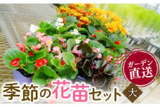 季節 の 花苗 セット ガーデニング 大 寄せ植え 季節 お花 贈り物 フラワー ギフト 庭園 プランター シーズン おすすめ オススメ 駿河 ガーデン プレゼント ギフト 静岡 沼津 母の日 父の日