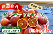 訳あり 西浦 国産 ブラッドオレンジ 3kg 西浦 柑橘 ブラット オレンジ 木負観光みかん園