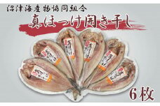 ほっけ 干物 ホッケ 真ほっけ開き干し 6枚セット ひもの 個包装 詰め合わせ セット ギフト 贈答用 干物セット 美味しい コスパ 人気 ランキング 極上 静岡 沼津 国産 静岡県
