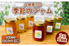 【 定期便 3回 】 季節の ジャム 160g×3本 3回 マーマレード 詰め合わせ 無添加 旬 9種 セット ジャム トースト ジャム ヨーグルト マーマレード パン 朝食 贈答用 季節 ギフト プレゼント