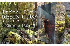 オーダーメイド アート RESIN Cube 300ｍｍ×180ｍｍ インテリア レジン キューブ 自然 静岡県 沼津市 ホテルライク 会社 デザイナー アーティスト おしゃれ 美しい 芸術 置物 玄関