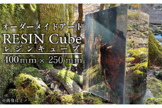 オーダーメイド アート RESIN Cube 400ｍｍ×250ｍｍ インテリア レジン キューブ 自然 静岡県 沼津市 ホテルライク 会社 デザイナー アーティスト おしゃれ 美しい 芸術 置物 玄関