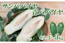 【予約注文/2025年9月下旬より発送】 サン パパイヤ 青 パパイヤ 約 2.5 kg ～ 3 kg 酵素 野菜 果物 フルーツ パパイア 料理 静岡県 沼津市