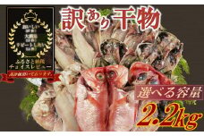 訳あり 干物 おまかせ 選べる 容量 約2.2kg 詰め合わせ 沼津 ひもの すずひで ひもの 訳あり おまかせ 干物 ひもの 詰め合わせ 訳あり 干物 セット 本場沼津 