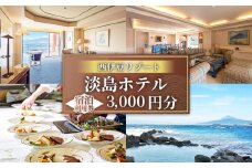 沼津 淡島ホテル 宿泊 補助券 利用券 金額 3,000 円 分 宿泊券 宿泊 静岡 沼津 富士山 淡島 ホテル 旅行 リゾート 無人島 
