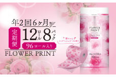 【 定期便 年 2 回 6 ヶ月毎 】 トイレットペーパー 12ロール ダブル 消臭 香り付き ローズ 花束 フラワー プリント やわらか 長持ち日用品 消耗品 防災 備蓄 収納 シャワー コスパ ランキング 静岡 沼津 丸富製紙 といれっとぺーぱー トイレ 