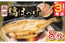 すぐ 届く 無頭 縞ほっけ 8枚 ホッケ セット 干物 ほっけ ひもの 本場 沼津 山由水産 頭無し 干物 ホッケ おいしい ほっけ コスパ 美味しい 静岡 沼津 ほっけ開き スピード発送 スピード配送