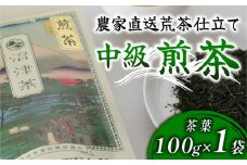 沼津産 中級煎茶 茶葉 100g 1袋 農家直送 産地直送 お茶 茶 緑茶 煎茶 日本茶 飲料 家庭用 ご自宅用 おためし 静岡 沼津