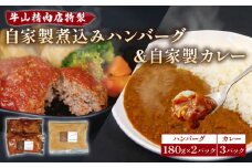 自家製 煮込み ハンバーグ 2個入り(180g)×2パック 自家製カレー 200g×3パック セット 国産牛 牛肉 国産豚  個包装  湯煎可 温めるだけ 簡単 レンジ 牛山精肉店 特製 手作り 沼津 静岡 