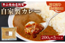 自家製 カレー 200g×5パック 1kg 黒毛和牛 牛肉 国産豚  個包装  湯煎可 温めるだけ 簡単 レンジ 牛山精肉店 特製 手作り セット 沼津 静岡 