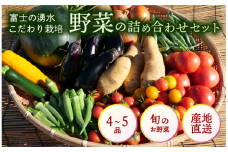お野菜 4～5品 詰め合わせセット 富士山の湧水でつくる 四季の美味しい 旬 野菜