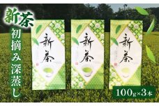 新茶 100g × 3本セット 初摘み 深蒸し 煎茶 緑茶 お茶 茶葉 常温 保存 便利 簡易包装 お試し 静岡 沼津 母の日 父の日