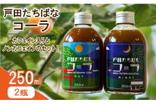 クラフトコーラ 250ml 2瓶 スーベニア セット 柑橘 たちばな 橘 戸田 コーラ  アレンジ 贈答 ギフト プレゼント 瓶 戸田たちばなコーラ めんだこ  静岡県 静岡 沼津 沼津市