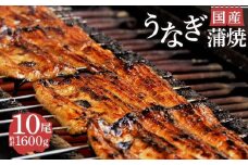 国産 うなぎ 蒲焼 10尾 1600g お吸い物 タレ 山椒鰻 冷蔵 匠 セット 真空 小分け 丑の日 沼津 うなよし 静岡県 人気 コスパ 老舗 高級 