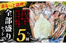 沼津のひもの 5種 12枚 まるっと満喫！「社長一押し！全部盛りセット」旬の美味しさを食卓に直送！ 真あじ 真ほっけ さば半身 するめいか 真いわし