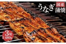 国産 うなぎ 蒲焼 3尾 480g 真空 小分け 冷蔵 丑の日 沼津 うなよし 鰻 人気 高級 静岡県