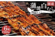 国産 うなぎ 蒲焼 4尾 白むし 2尾 計6尾 鰻 カット 肝 佃煮 1袋 即席 お吸い物 6袋 真空 小分け 満腹 セット 丑の日 沼津 うなよし 静岡県 人気 コスパ  老舗 高級