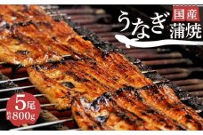 国産 うなぎ 蒲焼 5尾 800g 鰻 真空 小分け 冷蔵 丑の日 沼津 うなよし 人気 高級 静岡県
