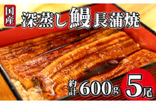 【 7月31日 土用 丑の日 対応 】国産 うなぎ 蒲焼 計 5尾  1尾 約120g～130g 冷凍  深蒸し たれ付き 漁協 オリジナル 静岡