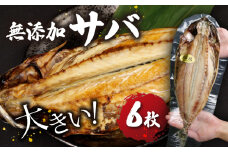 サバ 干物 無添加 個包装 6枚 真空パック 【 伝統技術の継承  創業 100年 ヤマショウから 自慢の干物 を お届け 】 鯖 おつまみ ヤマショウ 沼津 静岡 