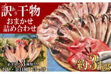 【2025年7月発送】 訳あり 干物 ひもの 3kg 山盛り おまかせ 詰め合わせ セット あじ 赤魚 ほっけ 本場 沼津 水産事業者支援 リピーター 