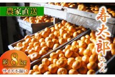 訳あり 寿太郎 みかん 約 8kg 産地直送 柑橘 訳アリ フルーツ 果物 蜜柑 オレンジ ご家庭用 沼津 静岡