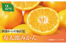 寿太郎 みかん 約2kg 西浦 柑橘 本格 貯蔵 熟成 ( 数量限定 みかん 果物 フルーツ 柑橘 国産 静岡 沼津 )