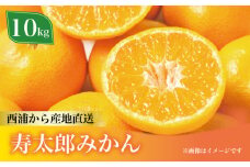 寿太郎 みかん 約10kg 西浦 柑橘 本格 貯蔵 熟成 ( 数量限定 みかん 果物 フルーツ 柑橘 国産 静岡 沼津 )