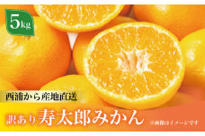 訳あり 寿太郎みかん 約5kg フルーツ 蜜柑 柑橘 オレンジ 果物  ( 数量限定 みかん 果物 フルーツ 柑橘 国産 静岡 沼津 )