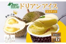 ドリアン ココナッツ アイスクリーム 100ml 6個 濃厚 ココナッツミルク カップアイス スイーツ お菓子 ソフトクリーム おやつ デザート ご当地アイスセット 詰め合わせ お取り寄せ ギフト お返し 送料無料 かをり果樹園 静岡県 沼津市