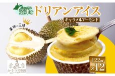 ドリアン ココナッツ キャラメルアーモンド アイスクリーム 122ml 12個 濃厚 ココナッツミルク スイーツ お菓子 ソフトクリーム おやつ デザート ご当地アイスセット 詰め合わせ お取り寄せ ギフト お返し 送料無料 かをり果樹園 静岡県 沼津市