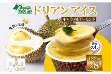 無地熨斗 ドリアン ココナッツ キャラメルアーモンド アイスクリーム 122ml 8個 濃厚 ココナッツミルク スイーツ お菓子 ソフトクリーム おやつ デザート ご当地アイスセット 詰め合わせ お取り寄せ ギフト お返し 送料無料 かをり果樹園 静岡県 沼津市