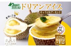 無地熨斗ドリアン ココナッツ キャラメルアーモンド アイスクリーム 122ml 12個 濃厚 ココナッツミルク スイーツ お菓子 ソフトクリーム おやつ デザート ご当地アイスセット 詰め合わせ お取り寄せ ギフト お返し 送料無料 かをり果樹園 静岡県 沼津市