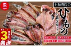 無添加 干物 2枚ずつ5種 セット（冷凍）あじ ２種 金目鯛 いわし かます 静岡 沼津