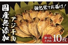 アジ 干物 個包装 国産 無添加 小分け あじ 塩干し 10枚 手作り 天日干し ひもの 魚介 贈答用 プレゼント ギフト 静岡 沼津 極上 美味しい コスパ 人気 静岡県